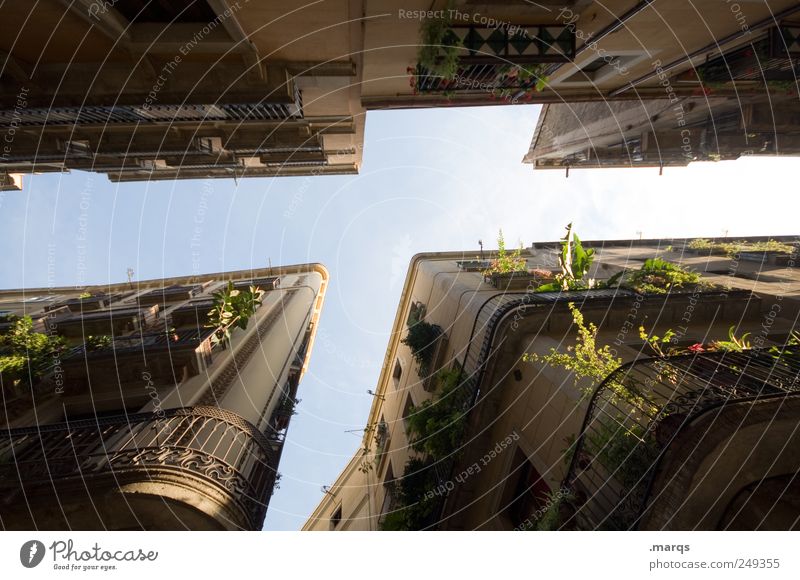 Gassenhauer Lifestyle Stil Städtereise Häusliches Leben Wolkenloser Himmel Grünpflanze Barcelona Spanien Haus Fassade Balkon dunkel hoch schön Klischee