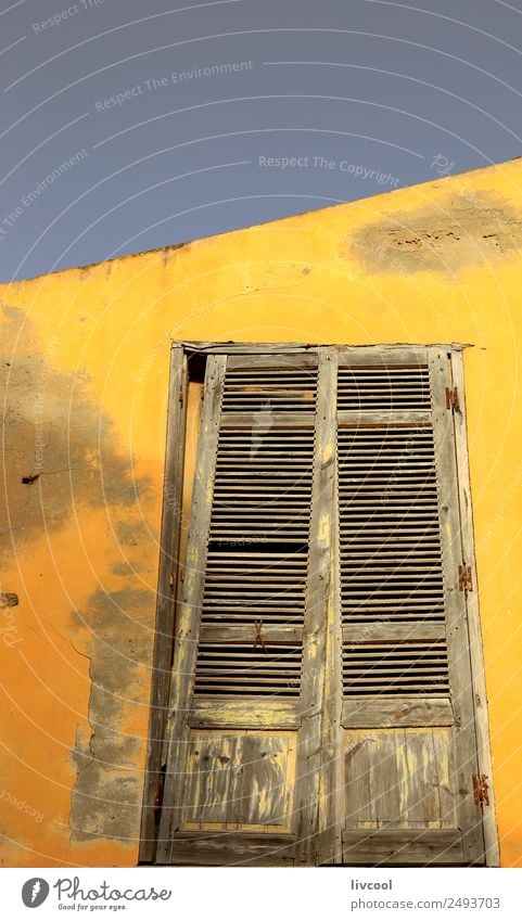 Gelbe Fassade - Heiliger Louis du Senegal kaufen Basteln Haus Kind Junge Mann Erwachsene Kunst Architektur Sand Baum Dorf Stadt Mauer Wand Fenster Straße alt