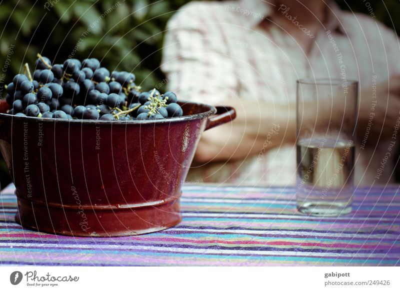 Pfälzer Lebensart Frucht Weintrauben Getränk Glas Alkohol Wohlgefühl Erholung trinken Erntedankfest Gesundheit lecker natürlich blau braun Lebensfreude
