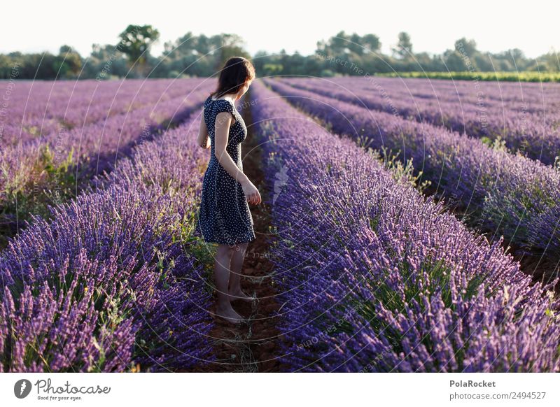#A# explore Kunst ästhetisch Zufriedenheit Lavendel Lavendelfeld Lavendelernte violett Provence Frankreich Blühend Blühende Landschaften Idylle fantastisch