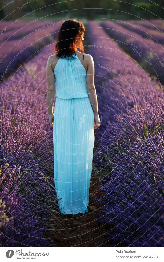 #A# Lavendel Spaziergang 1 Mensch Kunst ästhetisch Lavendelfeld Lavendelernte violett Frankreich Provence Kleid Frau Model Modellfigur Idylle fantastisch