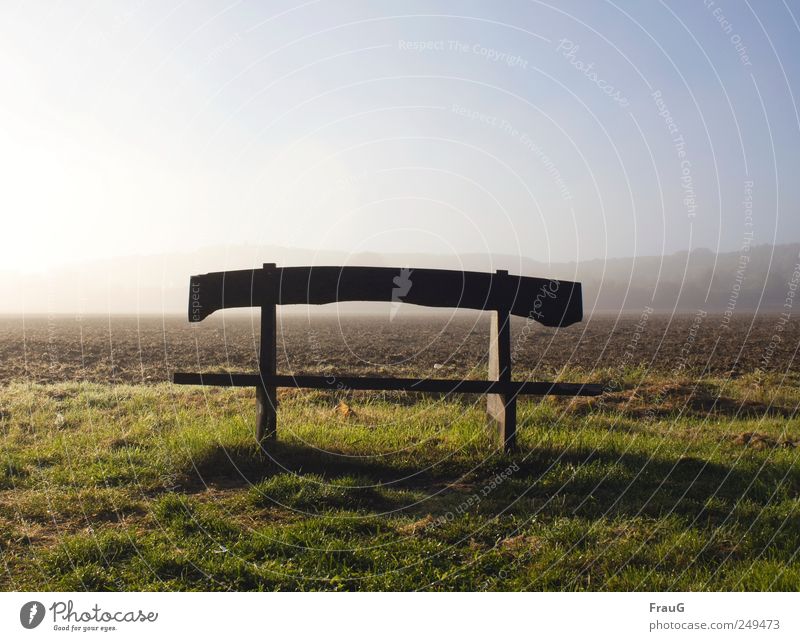 Herbstmorgen Landschaft Sonnenlicht Nebel Wiese Feld Stadtrand Menschenleer Bank Holz Ruhe Erholung Außenaufnahme Morgen