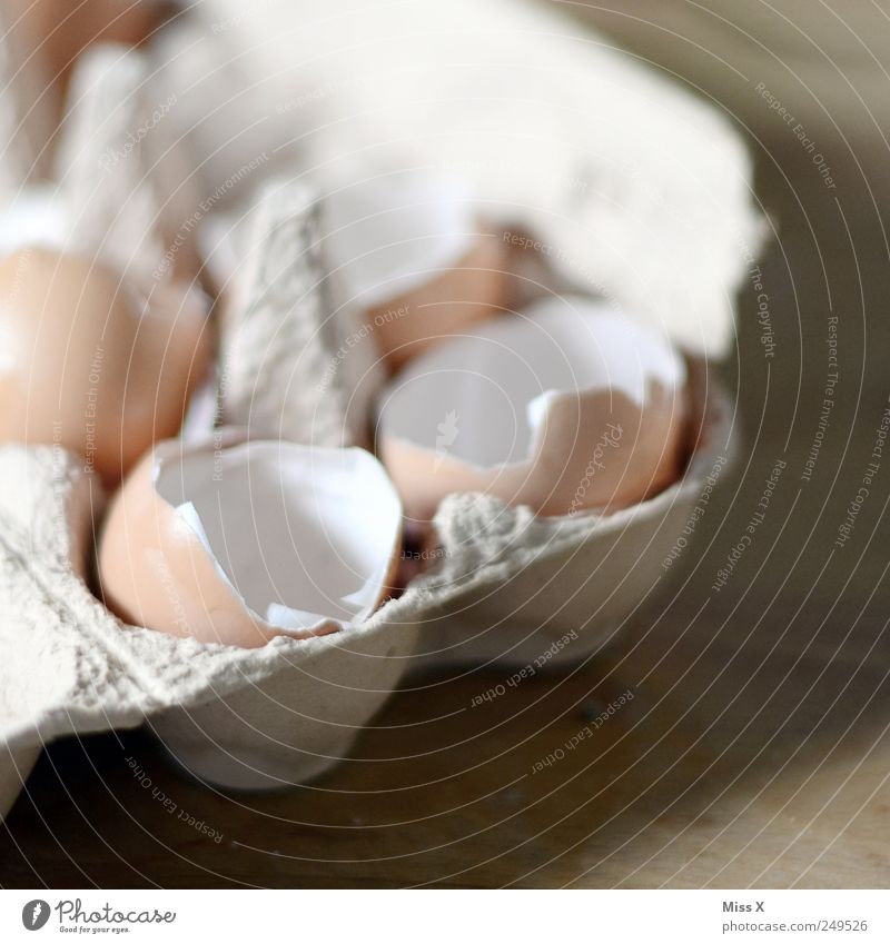 hätt ich dich heut erwartet, hätt ich Kuuuuchen gemacht Lebensmittel Ernährung Bioprodukte kaputt Ei Hühnerei kochen & garen Eierschale Eierkarton gebrochen