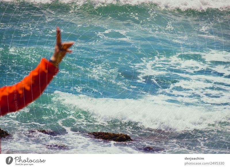 Achtung zeigt eine erhobene Hand mit einem roten Ärmel an. Sie steht am Meer. Unten kommen die Wellen. Ausflug Strand Schwimmen & Baden Junge Frau Jugendliche