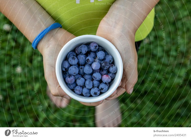 Heidelbeeren Lebensmittel Frucht Bioprodukte Schalen & Schüsseln Gesundheit Kind Hand Finger Garten festhalten frisch Blaubeeren Süßwaren lecker Außenaufnahme