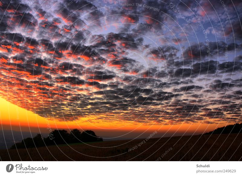 Wetterfront Landschaft Wolken Sonnenaufgang Sonnenuntergang Schönes Wetter Feld schön Farbfoto Außenaufnahme Menschenleer Abend