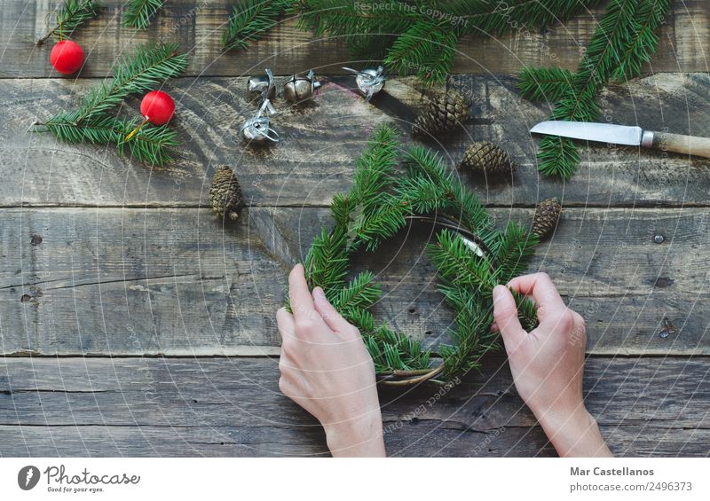 Ausarbeitung einer natürlichen Kiefernkrone. Weihnachtsdekoration Winter Dekoration & Verzierung Tisch Feste & Feiern Mensch feminin Hand 1 Natur Baum machen