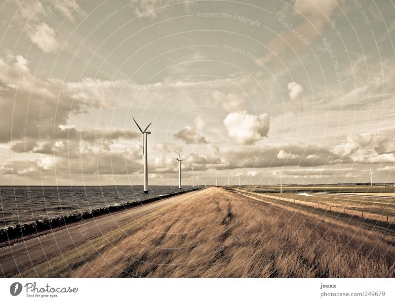 Frischer Wind Fortschritt Zukunft Energiewirtschaft Erneuerbare Energie Windkraftanlage Umwelt Landschaft Himmel Wolken Horizont Sommer Schönes Wetter Küste