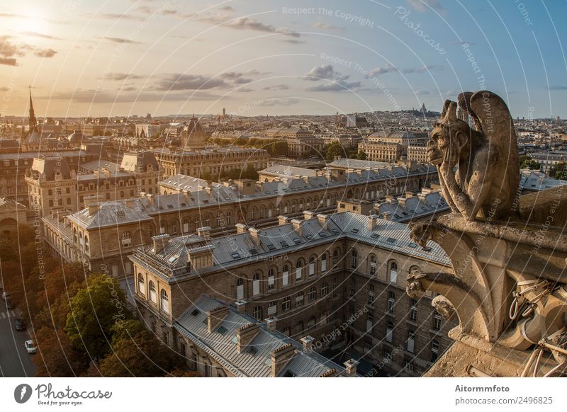 Gargoyle auf Notre Dame in Paris Stil Ferien & Urlaub & Reisen Tourismus Sightseeing Sommer Haus Landschaft Himmel Stadt Architektur Straße Stein alt historisch