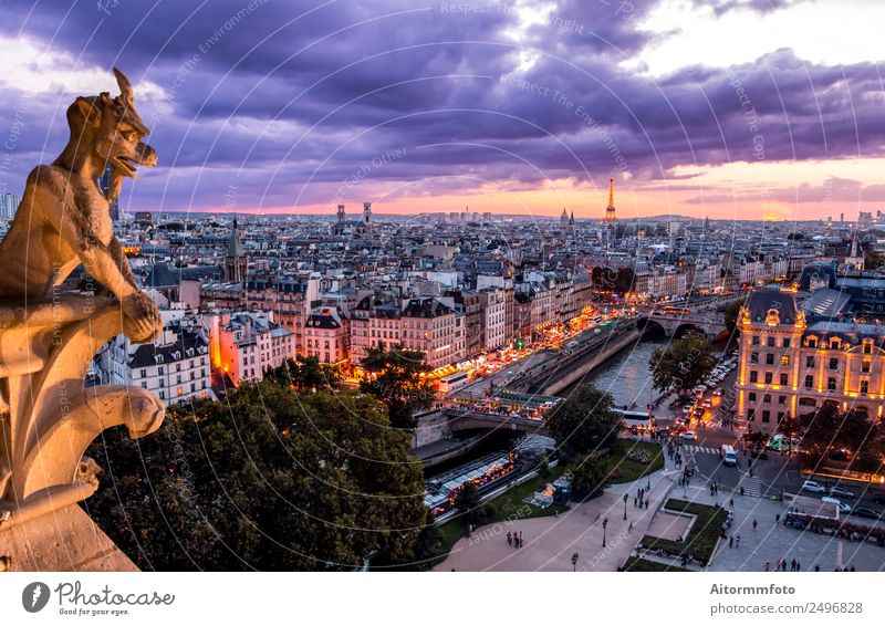 Gargoyle auf Notre Dame In Paris bei Sonnenuntergang Ferien & Urlaub & Reisen Tourismus Sightseeing Kunst Landschaft Himmel Wolken Skyline Gebäude Architektur