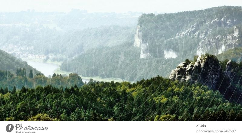 Brandaussicht Landschaft Luft Sonnenlicht Sommer Schönes Wetter Nebel Wald Felsen Berge u. Gebirge Elbsandsteingebirge Sachsen Deutschland Europa Blick wandern