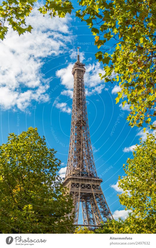 Eiffelturm in grünen Bäumen am blauen Himmel Ferien & Urlaub & Reisen Tourismus Sightseeing Sommer Garten Kultur Natur Park Gebäude Architektur Denkmal Metall