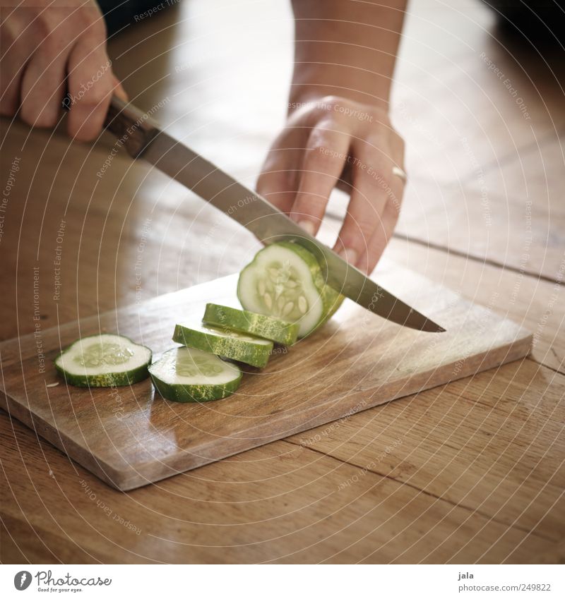 zubereitung Lebensmittel Gemüse Gurke Gurkenscheibe Bioprodukte Vegetarische Ernährung Mensch Hand Finger Arbeit & Erwerbstätigkeit Messer Schneidebrett