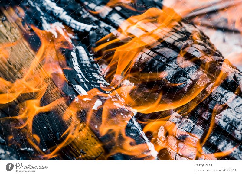 Brennendes Holz Feuerstelle Abenteuer Umwelt Natur Urelemente heiß grau orange schwarz bedrohlich Umweltverschmutzung Zerstörung brennen Farbfoto Nahaufnahme