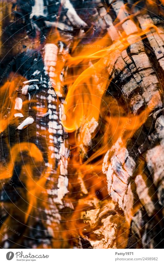 Brennendes Holz Feuerstelle Abenteuer Umwelt Natur Urelemente heiß grau orange schwarz bedrohlich Umweltverschmutzung Zerstörung brennen Farbfoto Außenaufnahme