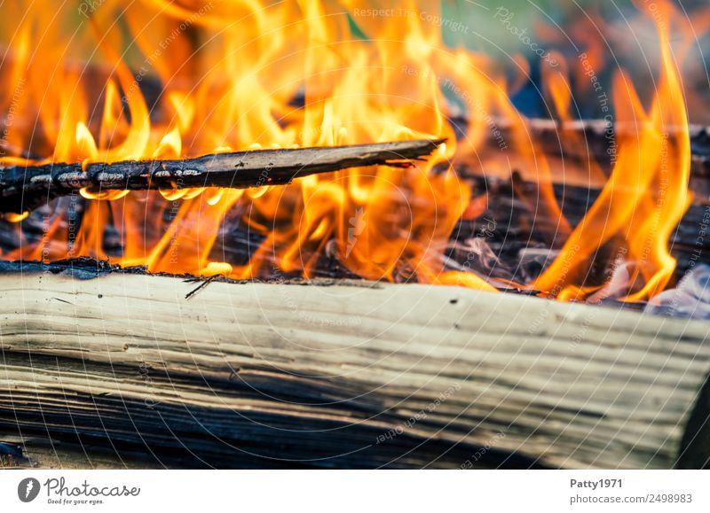 Brennendes Holz Feuerstelle Abenteuer Umwelt Natur Urelemente heiß gelb orange rot schwarz bedrohlich Umweltverschmutzung Zerstörung brennen Farbfoto