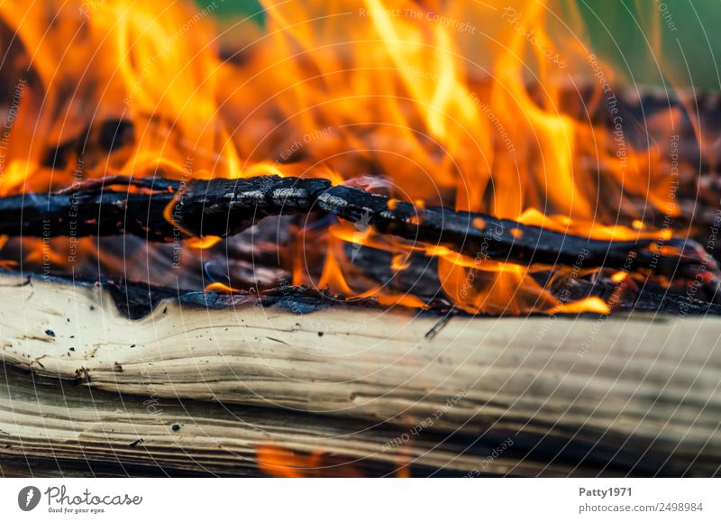 Brennendes Holz Abenteuer Feuerstelle Umwelt Natur Urelemente heiß gelb orange rot schwarz bedrohlich Umweltverschmutzung Zerstörung brennen Farbfoto