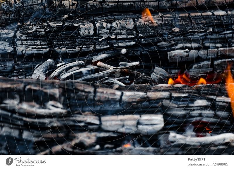 Brennendes Holz Abenteuer Feuerstelle Umwelt Natur Urelemente heiß grau orange rot schwarz bedrohlich Umweltverschmutzung Zerstörung brennen Farbfoto
