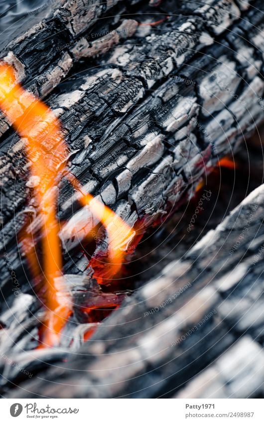 Brennendes Holz Feuerstelle Abenteuer Umwelt Natur Urelemente heiß grau orange rot schwarz bedrohlich Umweltverschmutzung Zerstörung brennen Farbfoto