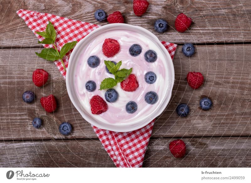 Frisches Heumilch-Joghurt mit Früchten Lebensmittel Milcherzeugnisse Frucht Picknick Bioprodukte Schalen & Schüsseln Gesundheit Sommer Garten Glas frisch