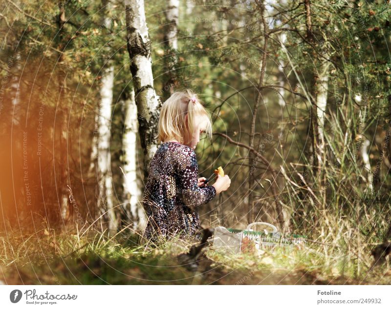 Mama! Gibts den bösen Wolf? Mensch Kind Mädchen Kindheit Umwelt Natur Pflanze Herbst Baum Gras Wildpflanze Wald hell natürlich Reinigen Birke Birkenwald