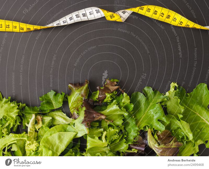 Frischer Blattsalat mit einem Maßband auf einer Tafel Salat Salatbeilage Bioprodukte Vegetarische Ernährung Diät Lifestyle Gesunde Ernährung Leben Restaurant