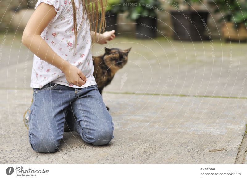 mädchenfoto .. mit katze Kind Mädchen Kindheit Jugendliche Haare & Frisuren Arme Hand 1 Mensch 3-8 Jahre Beton berühren Tierliebe Katze Haustier Hof Jeanshose
