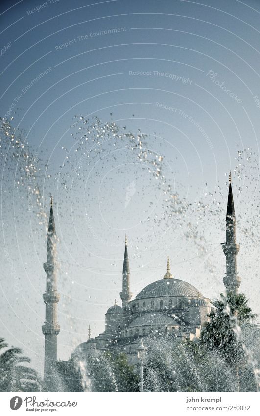 ein blaues wunder Istanbul Türkei Hauptstadt Stadtzentrum Bauwerk Gebäude Architektur Moschee Blaue Moschee Minarett Kuppeldach Sehenswürdigkeit Wahrzeichen
