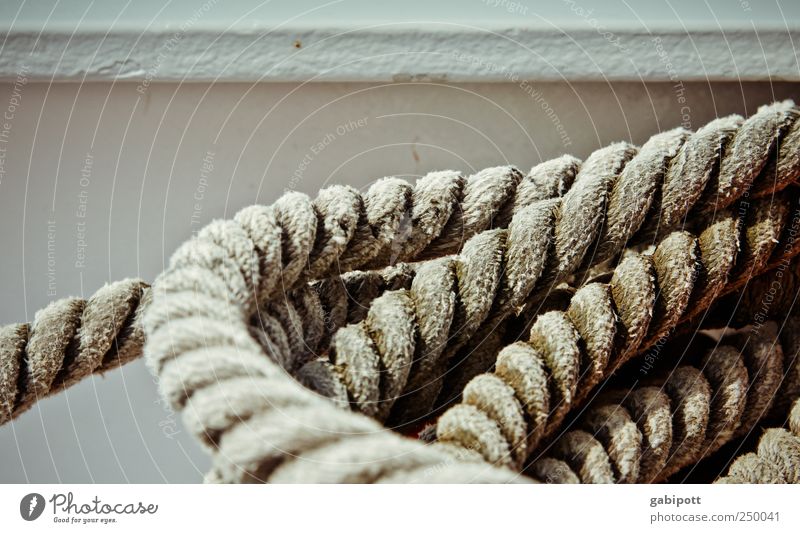 Leinen los Schifffahrt Seil An Bord liegen gedreht Kreis Schnur Halt Anker Sicherheit Absicherung stark Kurvenlage Gedeckte Farben Außenaufnahme Menschenleer