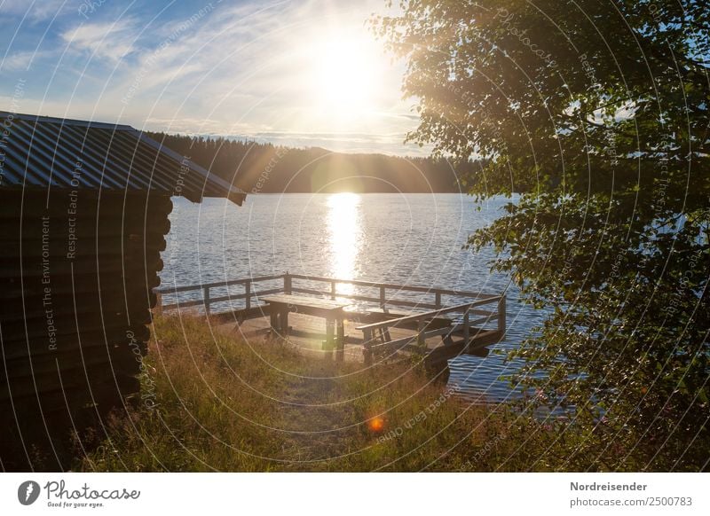 Campingplatz in Schweden Ferien & Urlaub & Reisen Freiheit Sommer Sommerurlaub Sonne Natur Landschaft Wasser Sonnenaufgang Sonnenuntergang Schönes Wetter Wiese