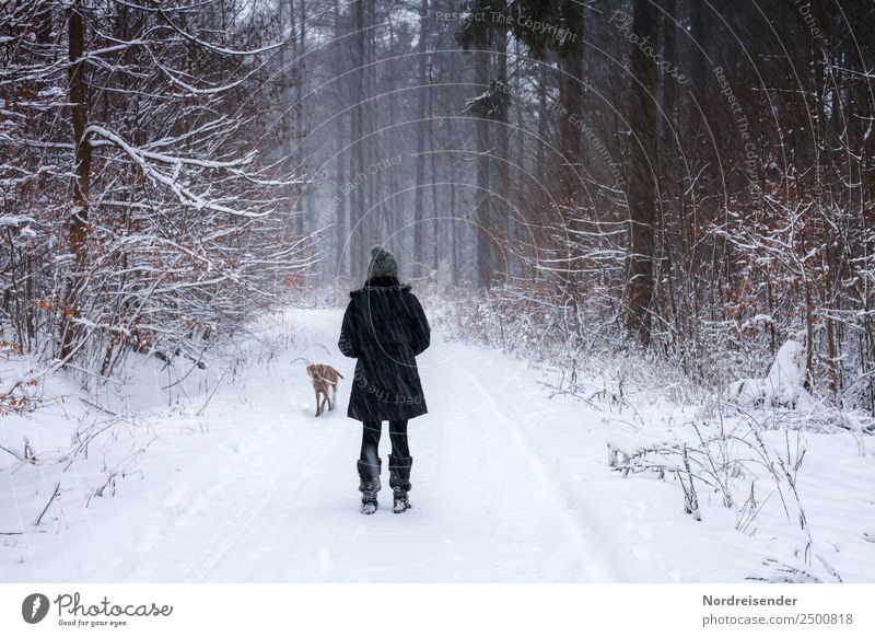 Noch fünf Monate bis Weihnachten Tourismus Ausflug Winterurlaub wandern Weihnachten & Advent Mensch feminin Frau Erwachsene 1 Natur Landschaft Wetter Eis Frost