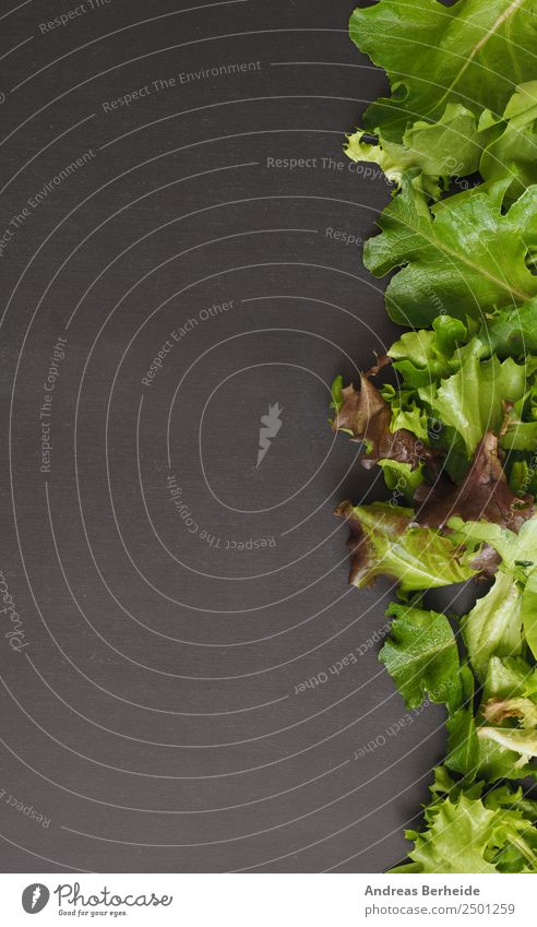 Frischer Blattsalat auf einer Tafel mit Textraum links Gemüse Salat Salatbeilage Bioprodukte Vegetarische Ernährung Diät Lifestyle Gesundheit Restaurant Fitness