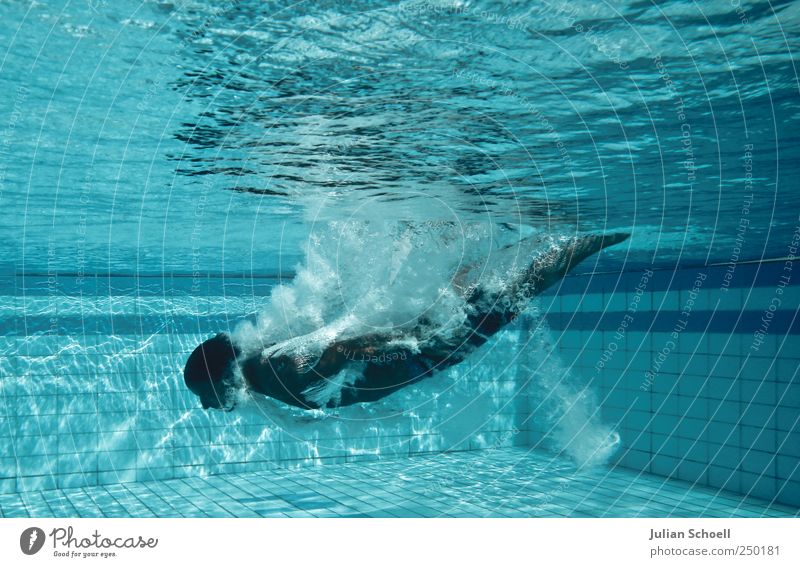 Abgetaucht Wassersport Schwimmen & Baden maskulin 1 Mensch Badehose Flüssigkeit blau Farbfoto Außenaufnahme Tag Kontrast Sonnenstrahlen