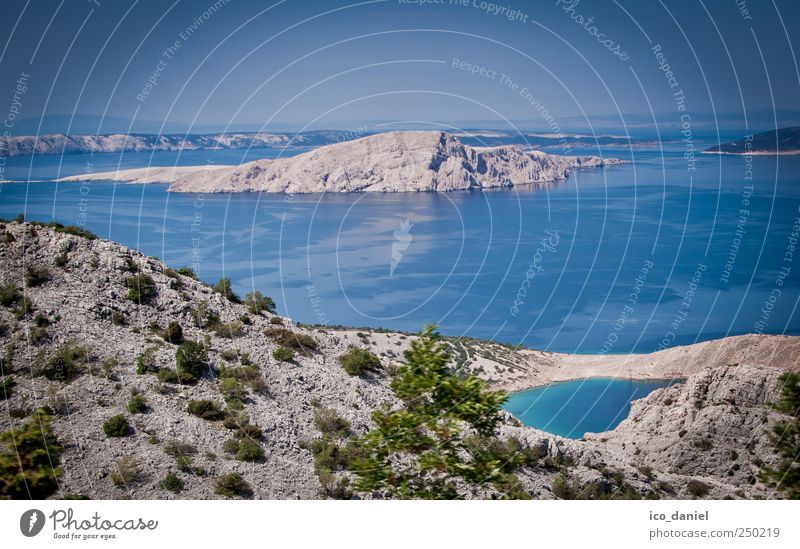 Küstenblick in Kroatien Ferien & Urlaub & Reisen Tourismus Sommer Sommerurlaub Meer Umwelt Natur Landschaft Urelemente Erde Luft Wasser Himmel Horizont Bucht