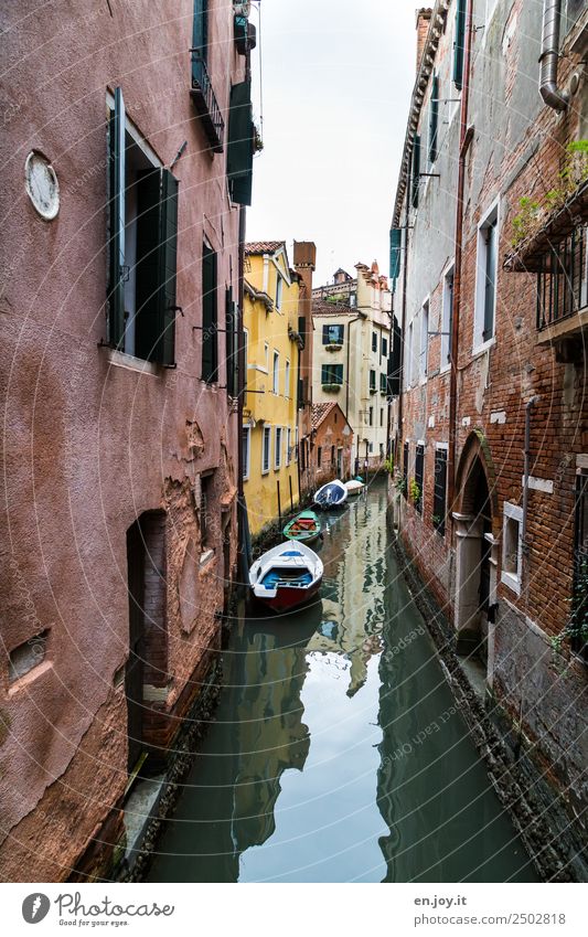 Nah am Wasser Ferien & Urlaub & Reisen Sightseeing Städtereise Sommerurlaub Venedig Italien Europa Stadt Altstadt Haus Gebäude Mauer Wand Fassade Motorboot