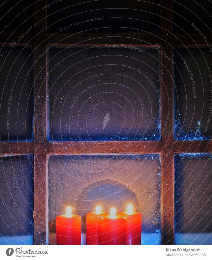 Advent. Vier rote Kerzen brennen vor einem vereisten Sprossenfenster mit Eisblumen Winter Schneefall Glas Gold Stahl Kristalle frieren glänzend leuchten blau