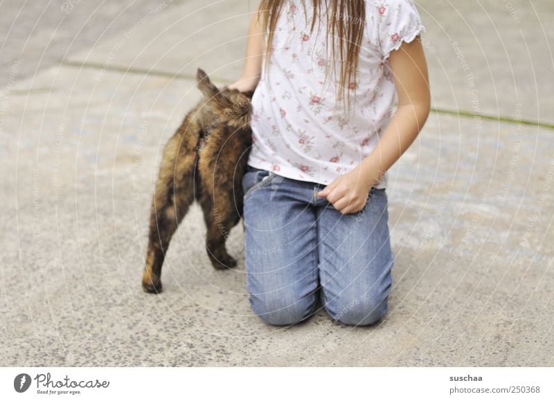 katzenpo .. Mädchen Kindheit Haare & Frisuren Hand 1 Mensch 3-8 Jahre Tier Haustier Katze Beton berühren Sympathie Tierliebe Katzenpo Beine Arme knien T-Shirt