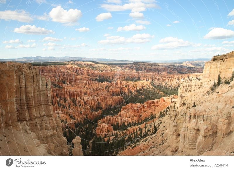 Bryce Canyon View Ferien & Urlaub & Reisen Tourismus Ausflug Himmel Horizont Schönes Wetter Baum Wald Felsen Berge u. Gebirge Schlucht Bryce Amphitheater