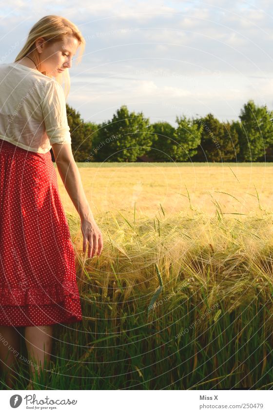 Kornfeld Zufriedenheit ruhig Mensch feminin Junge Frau Jugendliche 1 18-30 Jahre Erwachsene Landschaft Sommer Schönes Wetter Nutzpflanze Feld Mode Kleid blond