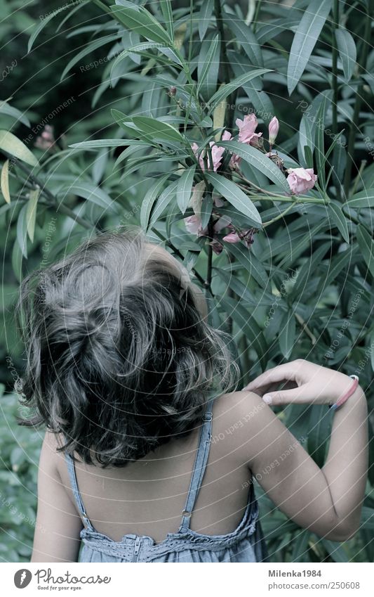 Dufterlebnis Garten Mensch Kind Mädchen Kindheit Haare & Frisuren Rücken 1 3-8 Jahre Natur Pflanze Schönes Wetter Blatt Blüte Grünpflanze Kleid brünett