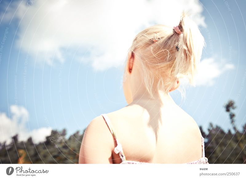 Rücksicht schön Haare & Frisuren Freizeit & Hobby Sommer Mensch Kindheit Kopf Rücken 1 Himmel Wolken Kleid blond Zopf stehen authentisch Körperhaltung
