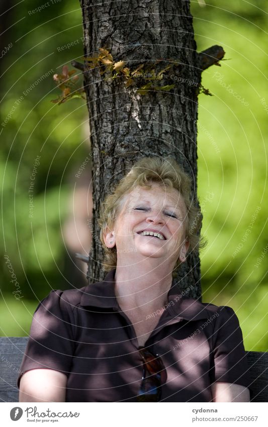 Frei Lifestyle Leben Wohlgefühl Zufriedenheit Ausflug Mensch Frau Erwachsene Weiblicher Senior 45-60 Jahre Umwelt Natur Sommer Baum erleben Freizeit & Hobby