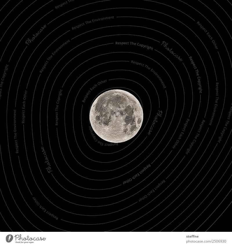 Vollmond, kurz nach der Mondfinsternis Natur Zukunft Mondsüchtig Astrologie Werwolf Schlafstörung Farbfoto Außenaufnahme Menschenleer Textfreiraum links