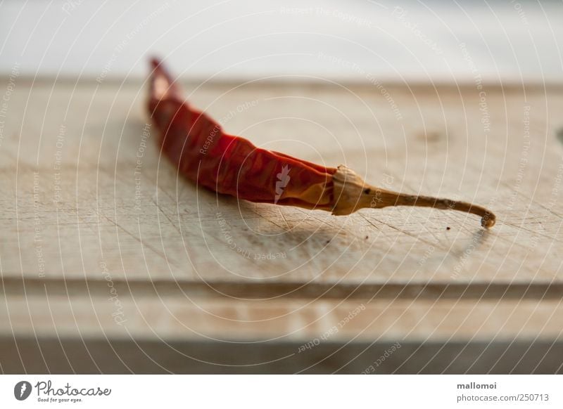 Chili oder Peperoni liegt auf altem Holzbrett Kräuter & Gewürze Schote Lebensmittel scharf Ernährung Schneidebrett braun rot Scharfer Geschmack Falte getrocknet