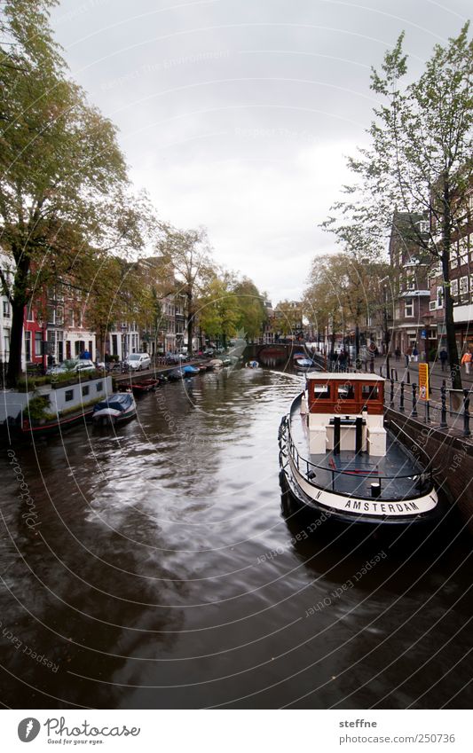 I AM STERDAM Wasser Baum Fluss Amsterdam Niederlande Hauptstadt Stadtzentrum Altstadt Haus Schifffahrt Bootsfahrt Fischerboot ästhetisch Gracht Kanal Hausboot