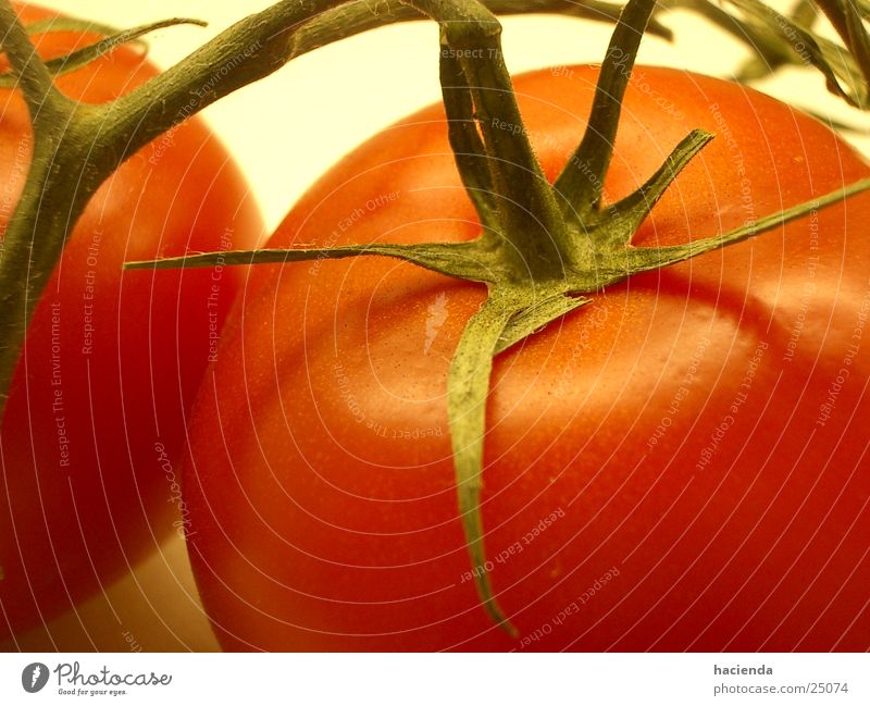 tomato rot lecker Gesundheit Gemüse Tomate Vegetarische Ernährung