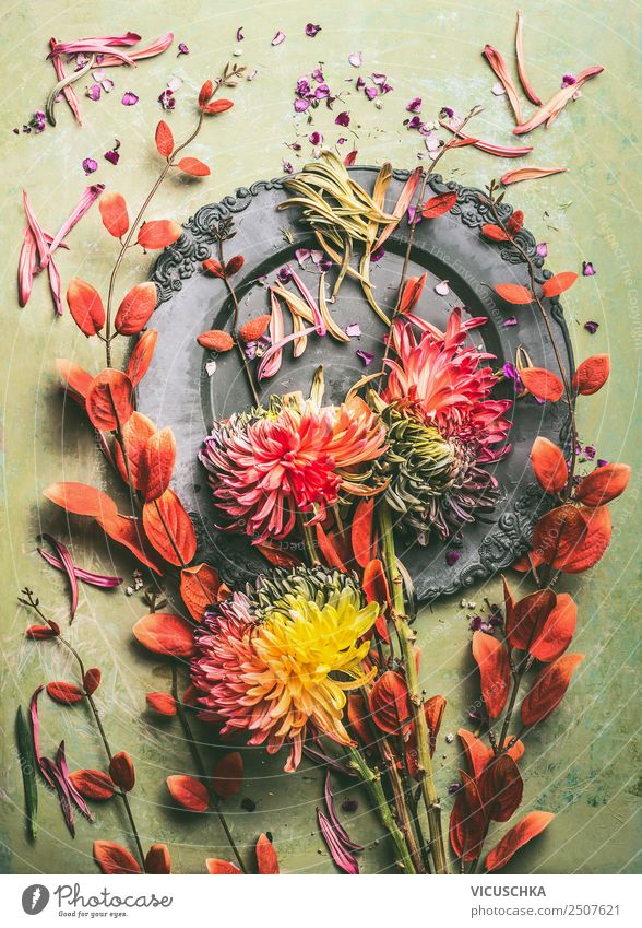 Herbst Blumen und Zweige mit roten Blättern , Stillleben Design Dekoration & Verzierung Feste & Feiern Blatt Blüte Blumenstrauß Composing Chrysantheme