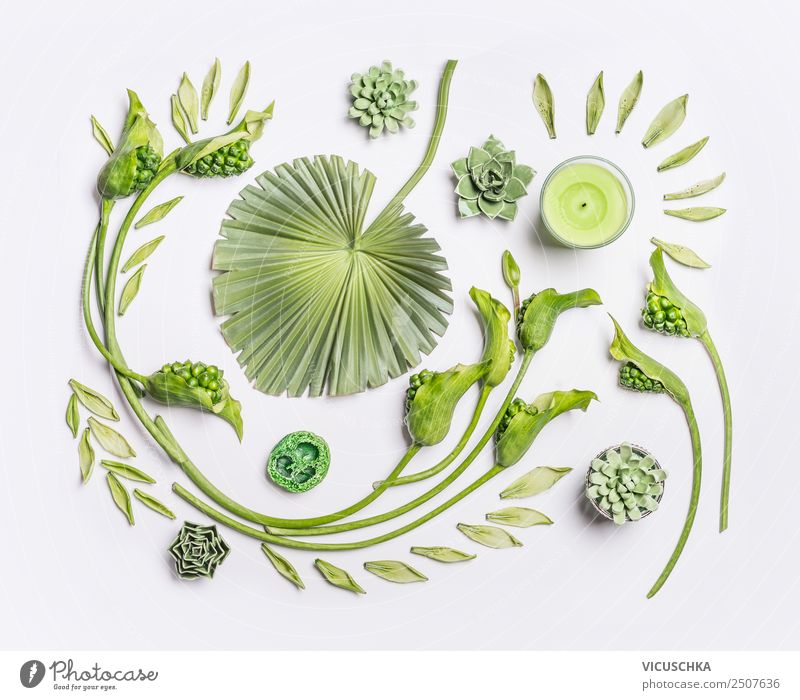 Grüne Blumen und tropische Blätter auf weiß Stil Design Wellness Spa Sommer Natur Pflanze Blatt Blüte Dekoration & Verzierung Ornament Hintergrundbild Entwurf