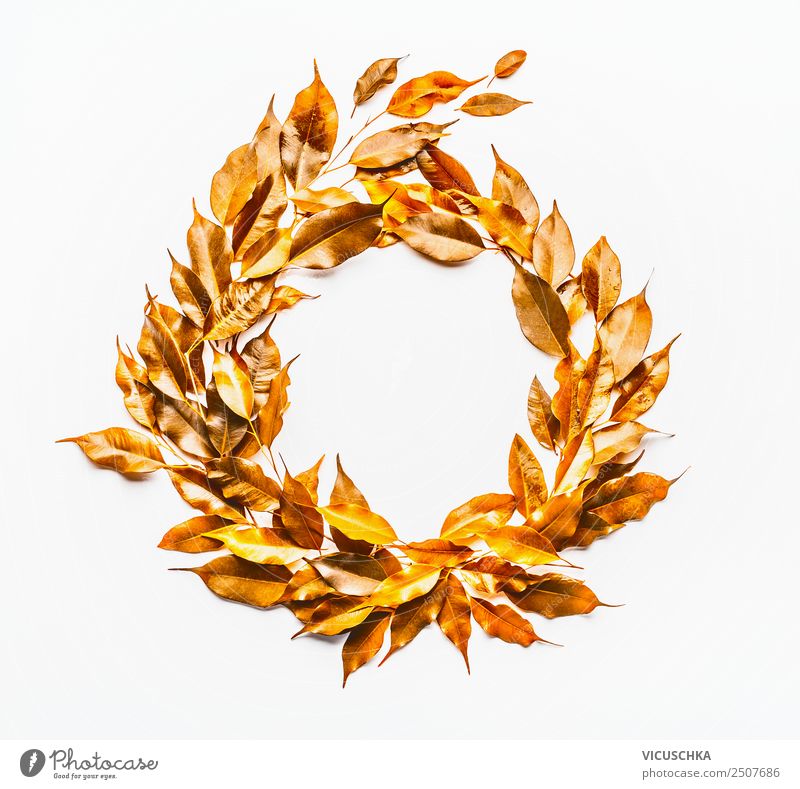Herbst Blätter Kranz auf weiß Stil Design Natur Pflanze Blatt Dekoration & Verzierung Ornament gelb gold Hintergrundbild Entwurf Vor hellem Hintergrund