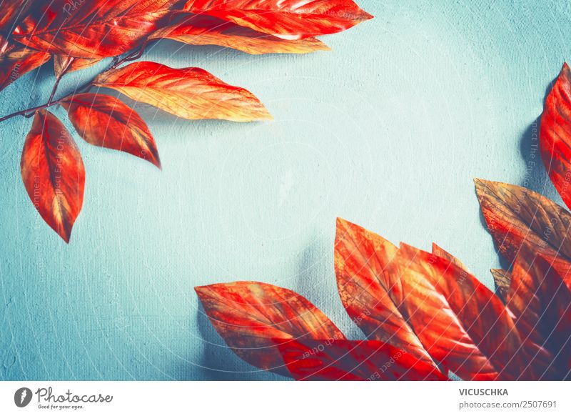 Orange Herbst Laub Rahmen mit Blätter auf hellblau Stil Design Natur Pflanze Blatt Dekoration & Verzierung Ornament orange rot Hintergrundbild hell-blau
